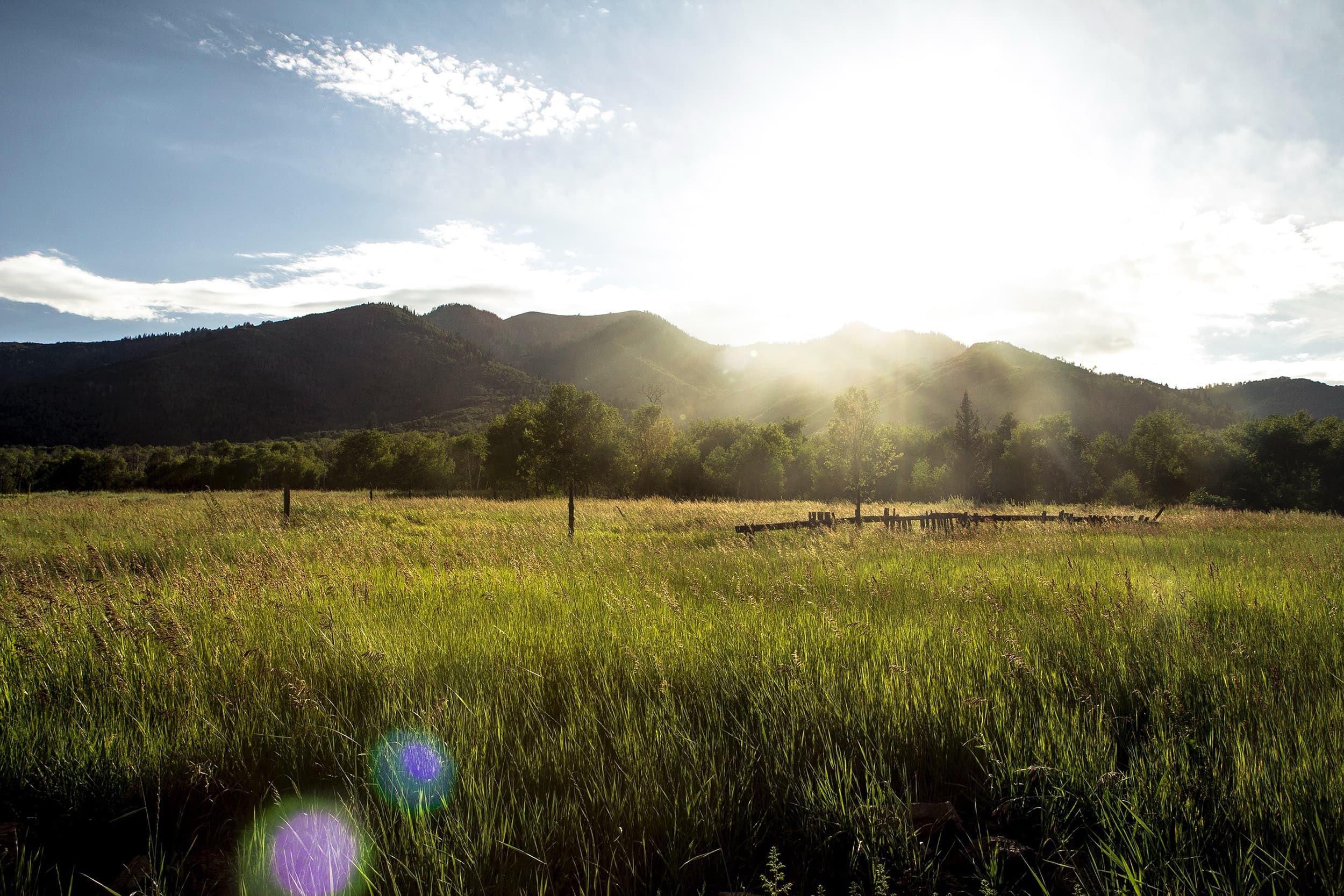 Photo by Joseph Young on Unsplash