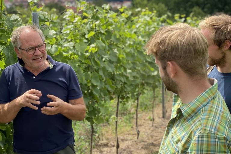 Hier geht es ebenfalls um die Analyse der geeignetsten Sensortechnik sowie der Mindestanzahl und Platzierung von Messpunkten, um die Heterogenität eines Weinbergs ausreichend zu erfassen.
