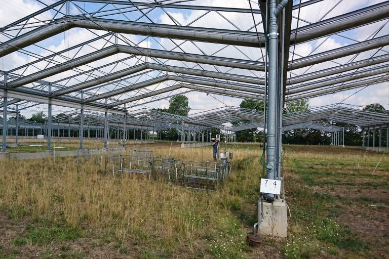 In landwirtschaftlichen Kontexten würde ein solches Pflanzenmonitoring etwa zur Reduktion von aufgewendeten Pflanzenschutzmitteln beitragen, da diese präziser und bedarfsgerechter eingesetzt werden könnten.