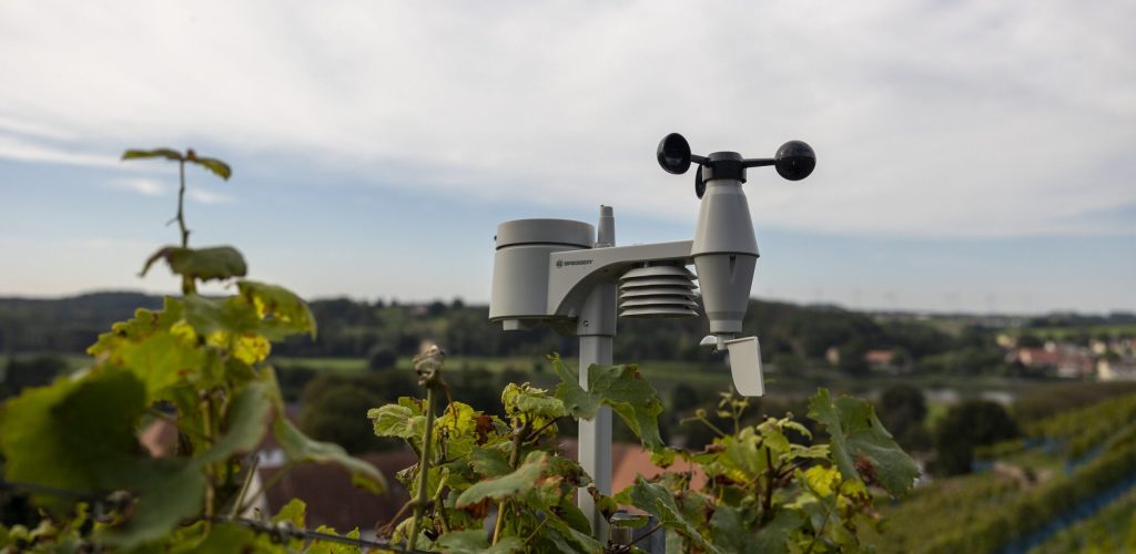 Pflanzengesundheitsmonitoring